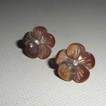 Brincos com flor castanha mãe de pérola, prata 925
